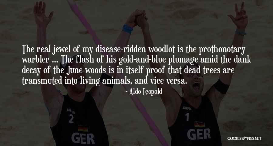 Real Gold Quotes By Aldo Leopold Real Gold Quotes By Aldo Leopold