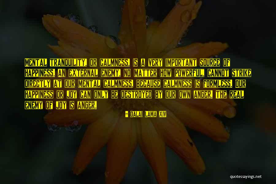 Real Joy Quotes By Dalai Lama XIV Real Joy Quotes By Dalai Lama XIV