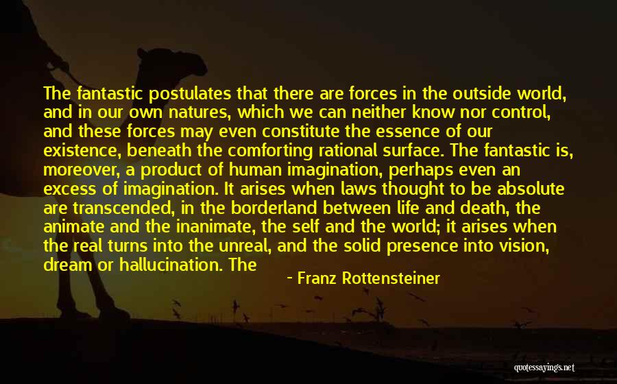 Real Life And Fantasy Quotes By Franz Rottensteiner