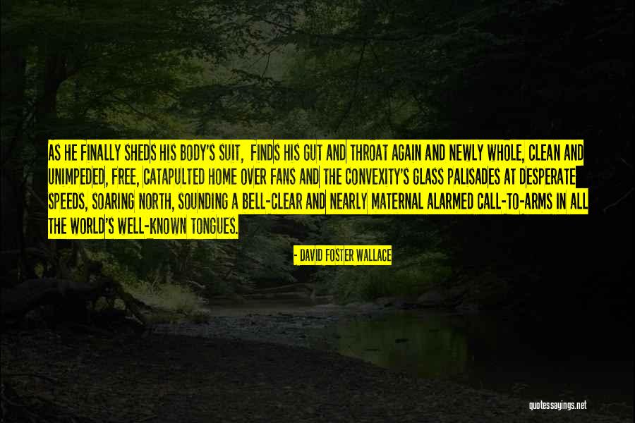 Real Life Memes Real Quotes By David Foster Wallace Real Life Memes Real Quotes By David Foster Wallace
