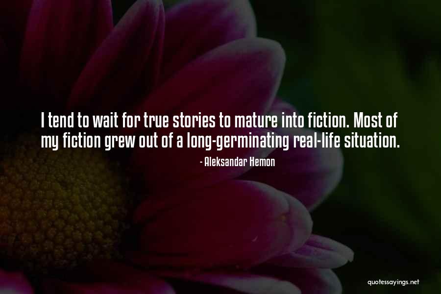 Real Mature Quotes By Aleksandar Hemon Real Mature Quotes By Aleksandar Hemon
