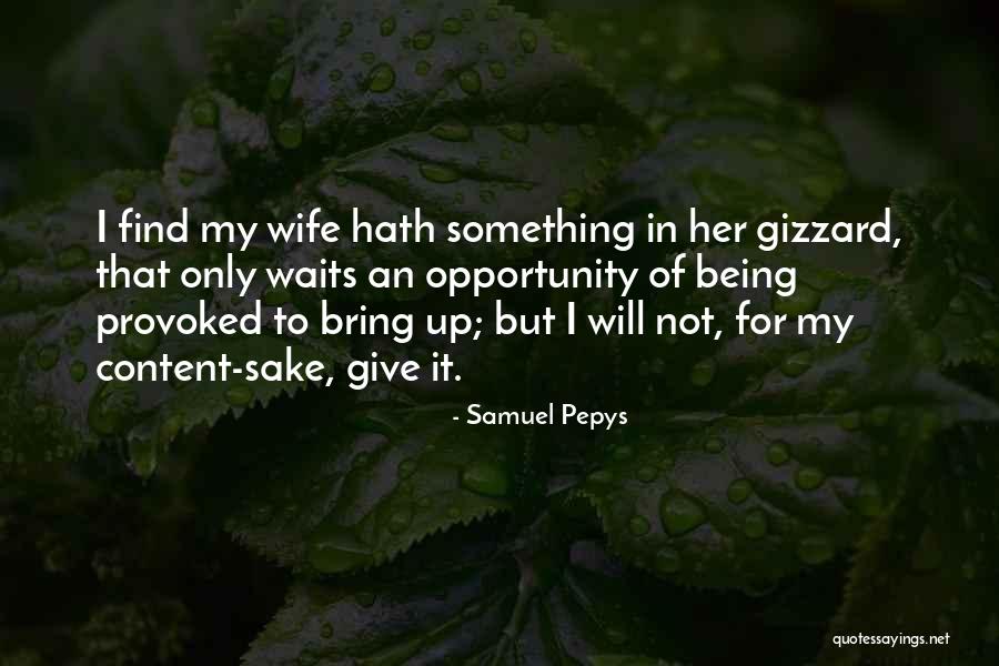 Real Pirate Quotes By Samuel Pepys Real Pirate Quotes By Samuel Pepys