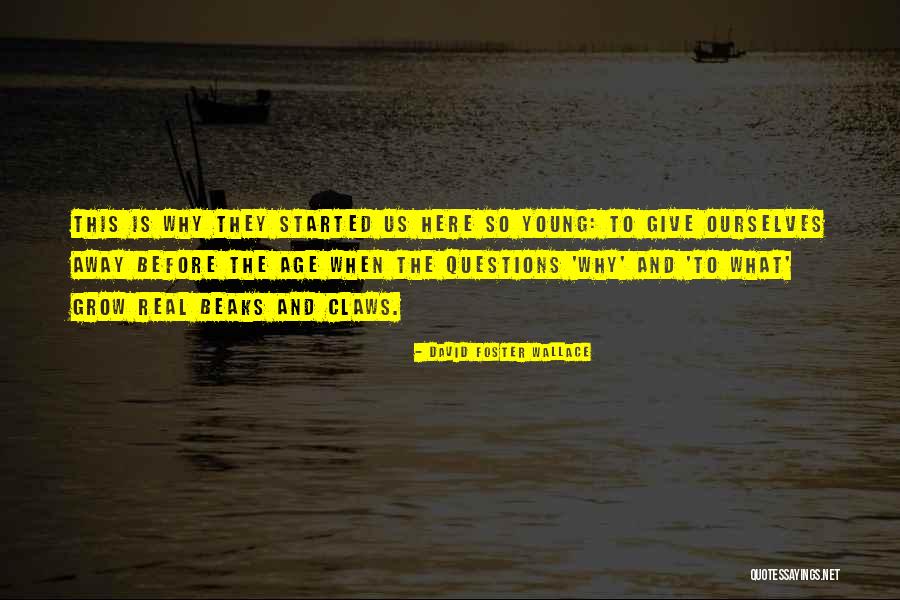 Real Questions Quotes By David Foster Wallace Real Questions Quotes By David Foster Wallace