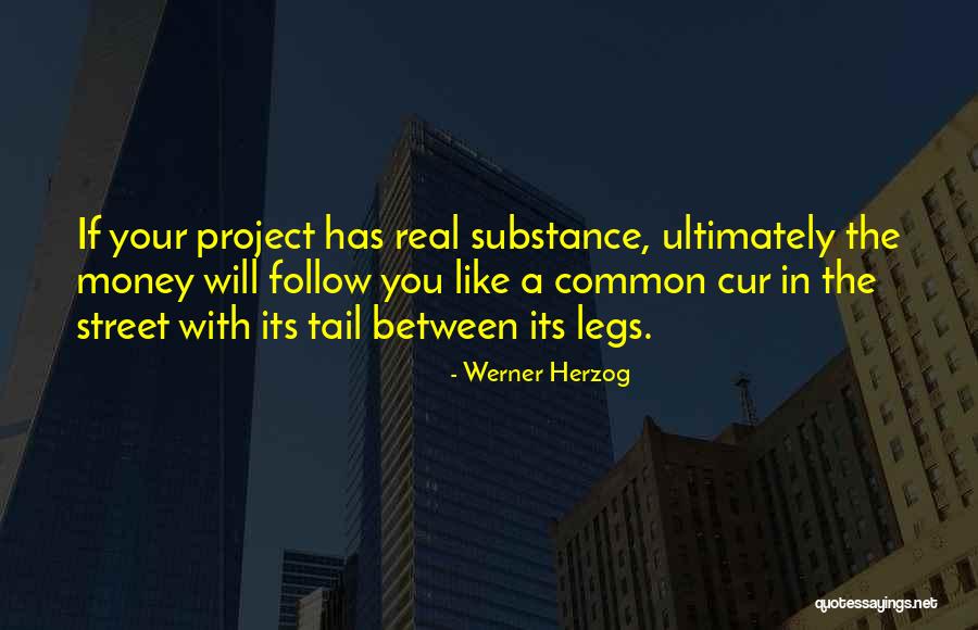 Real Street Quotes By Werner Herzog Real Street Quotes By Werner Herzog