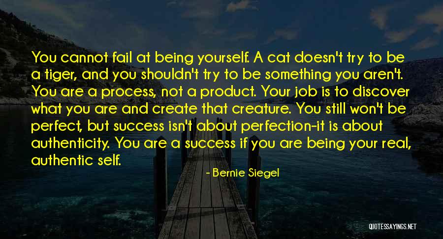 Real Success Quotes By Bernie Siegel Real Success Quotes By Bernie Siegel