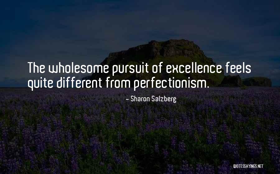 Real Success Quotes By Sharon Salzberg Real Success Quotes By Sharon Salzberg