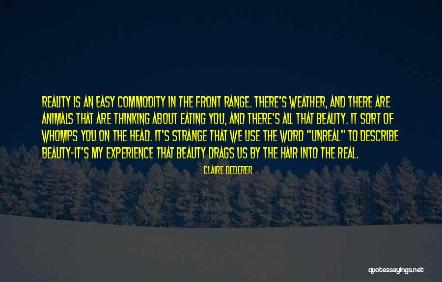 Real Unreal Quotes By Claire Dederer Real Unreal Quotes By Claire Dederer