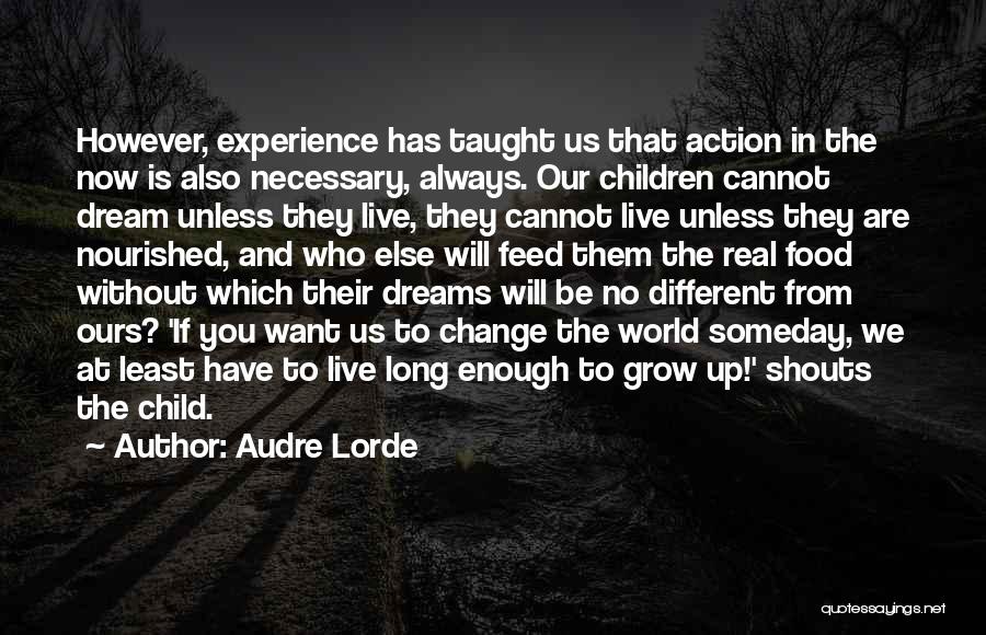 Real World Experience Quotes By Audre Lorde
