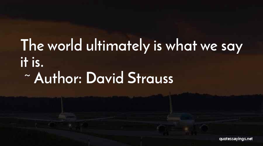 Real World Experience Quotes By David Strauss