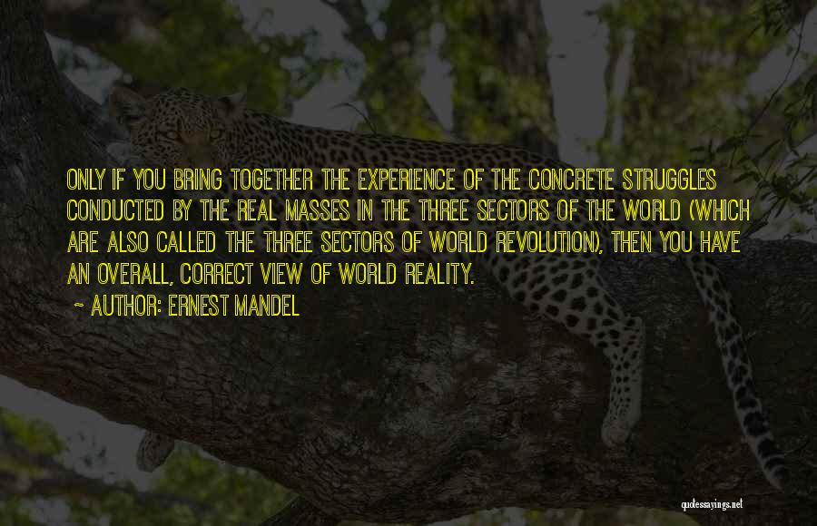 Real World Experience Quotes By Ernest Mandel