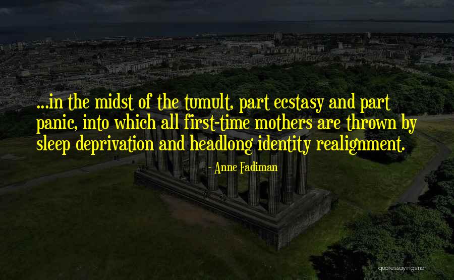 Realignment Quotes By Anne Fadiman