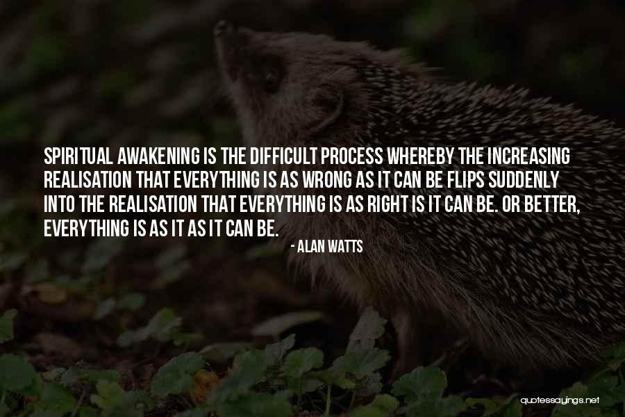 Realisation Quotes By Alan Watts