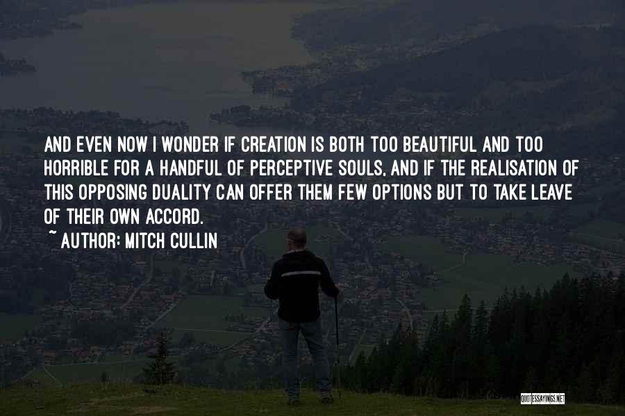 Realisation Quotes By Mitch Cullin