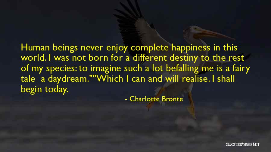 Realise My Love Quotes By Charlotte Bronte