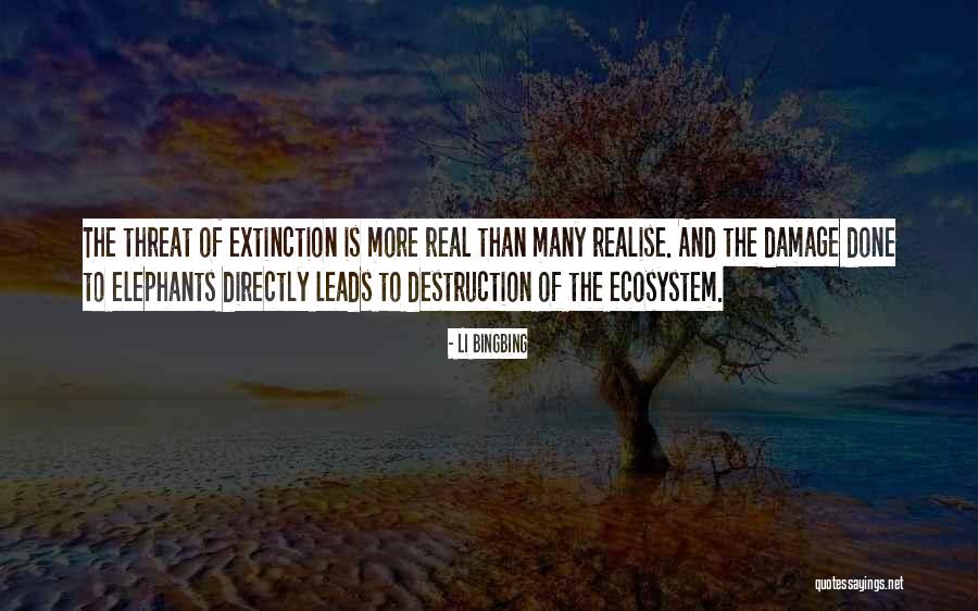 Realise The Quotes By Li Bingbing Realise The Quotes By Li Bingbing