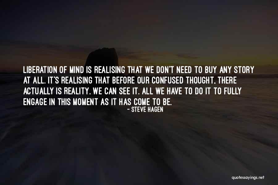 Realising What You Have Quotes By Steve Hagen