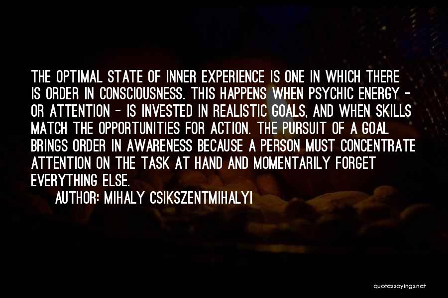 Realistic Person Quotes By Mihaly Csikszentmihalyi