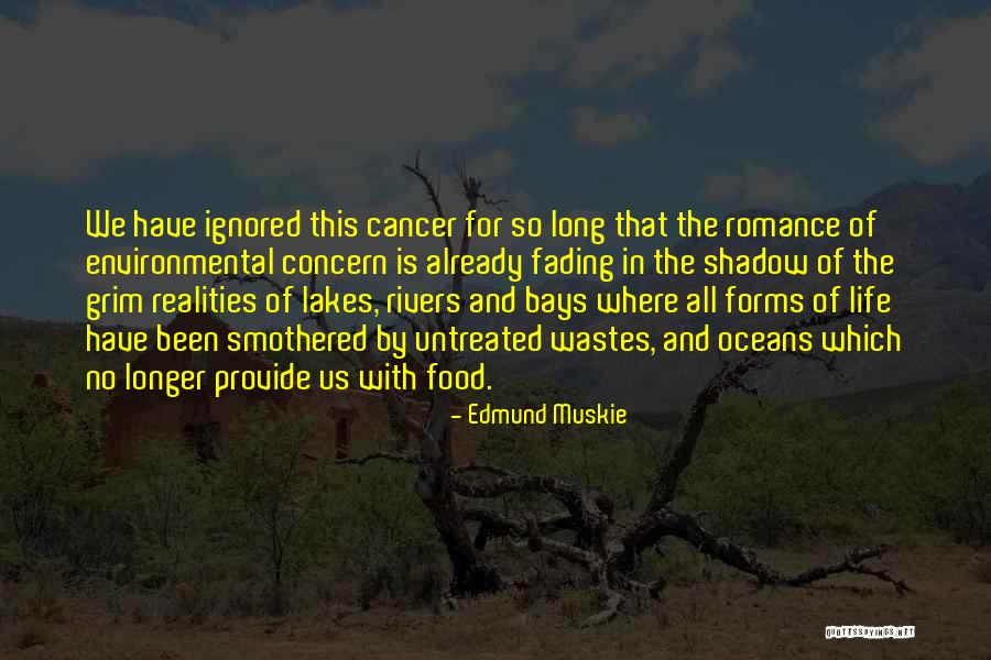 Realities Of Life Quotes By Edmund Muskie