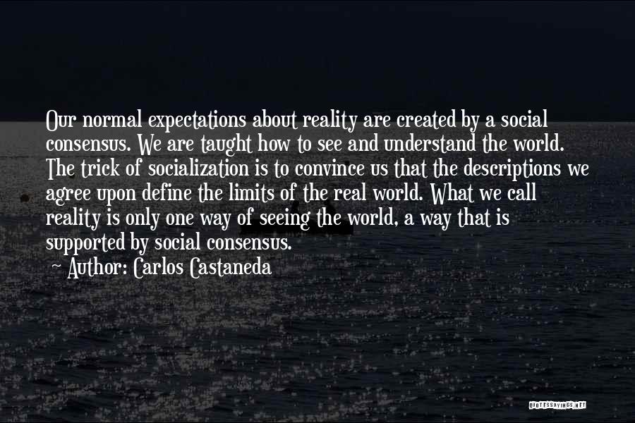 Reality And Expectations Quotes By Carlos Castaneda