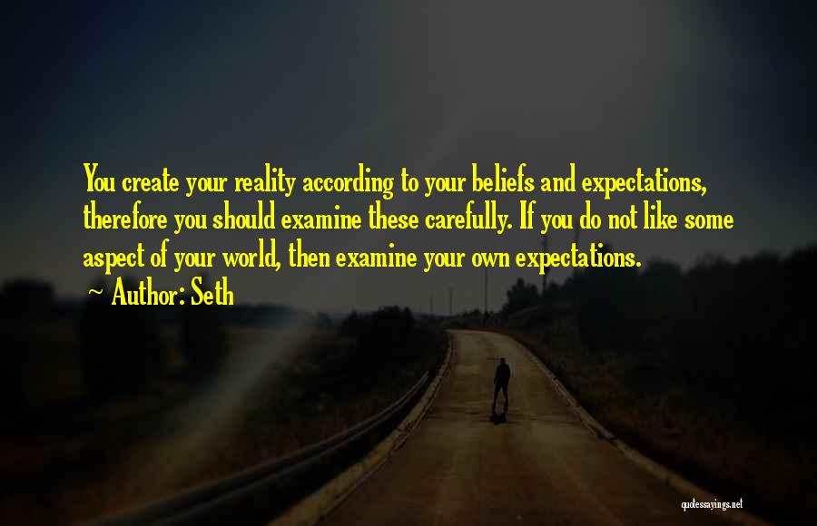 Reality And Expectations Quotes By Seth