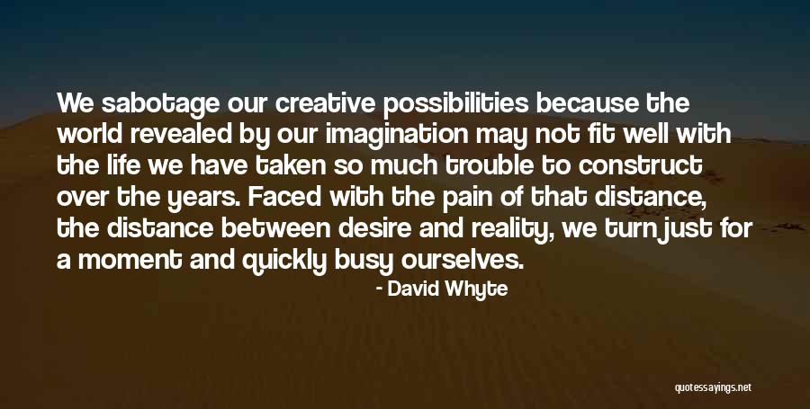 Reality And Imagination Quotes By David Whyte