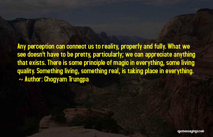 Reality And Perception Quotes By Chogyam Trungpa