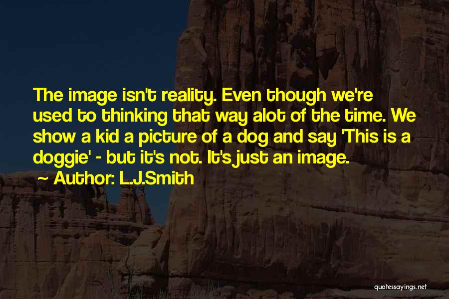 Reality And Truth Quotes By L.J.Smith