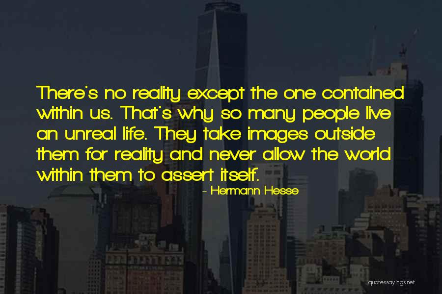 Reality Images And Quotes By Hermann Hesse