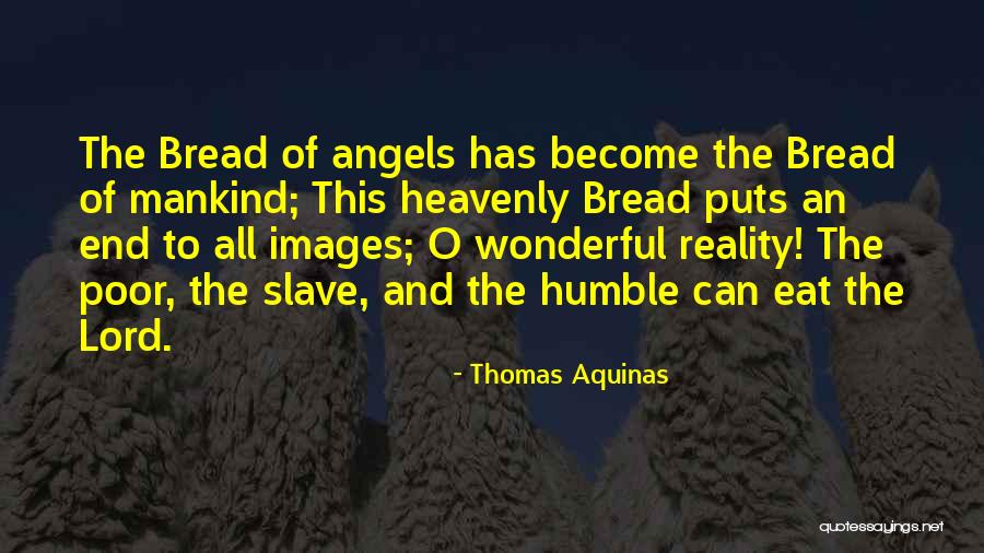 Reality Images And Quotes By Thomas Aquinas