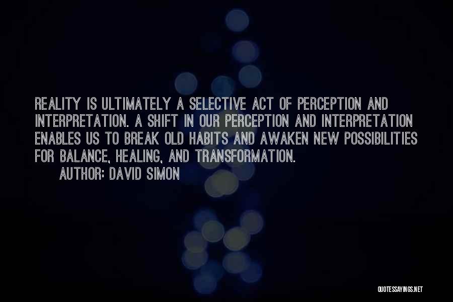 Reality Interpretation Quotes By David Simon