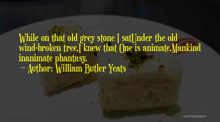 Reality Is Broken Quotes By William Butler Yeats