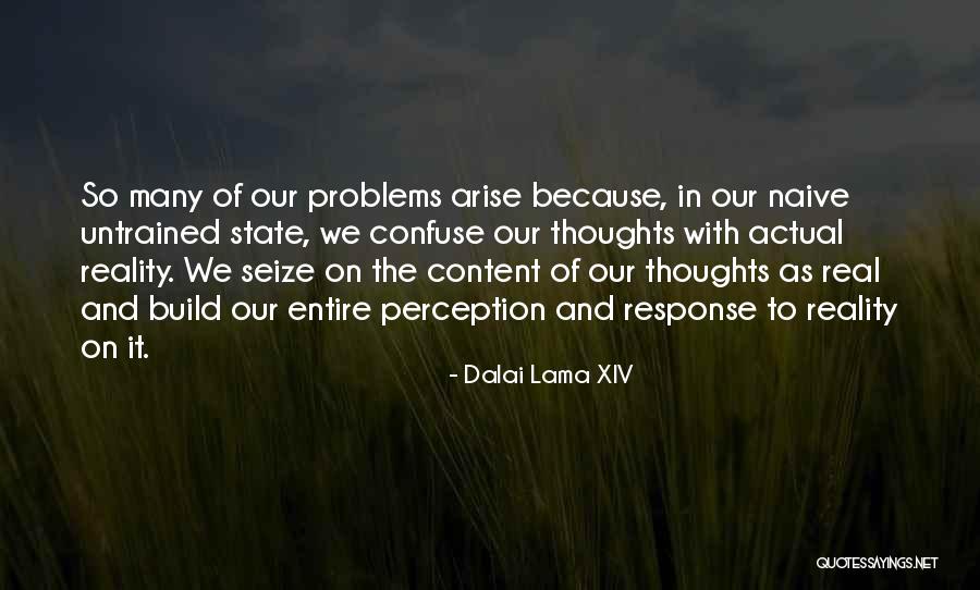 Reality Perception Quotes By Dalai Lama XIV Reality Perception Quotes By Dalai Lama XIV