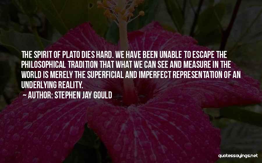 Reality Plato Quotes By Stephen Jay Gould