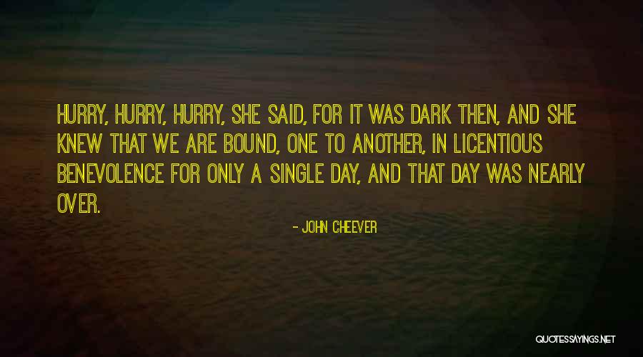 Realizacion De Encuestas Quotes By John Cheever Realizacion De Encuestas Quotes By John Cheever