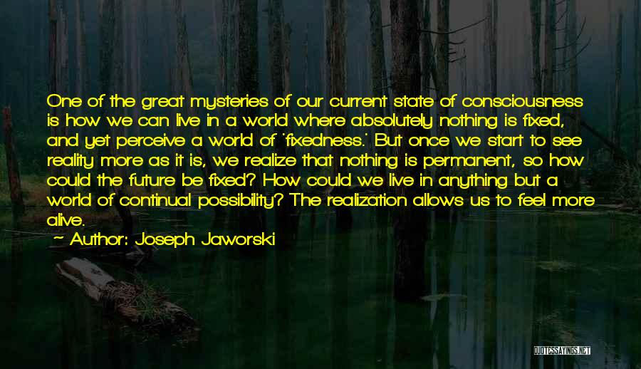 Realization Of Reality Quotes By Joseph Jaworski