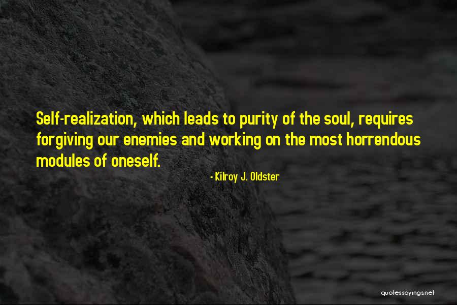 Realization Of Self Quotes By Kilroy J. Oldster