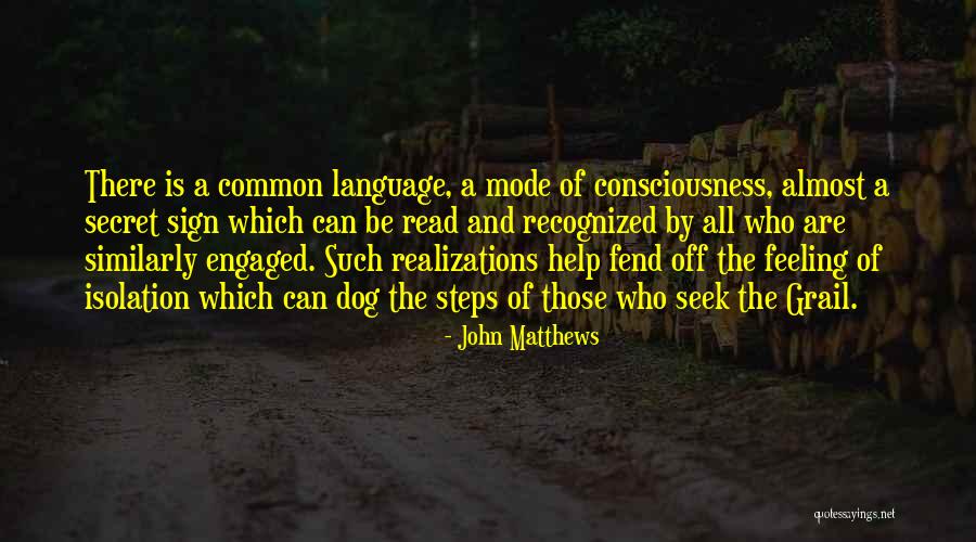 Realizations Quotes By John Matthews