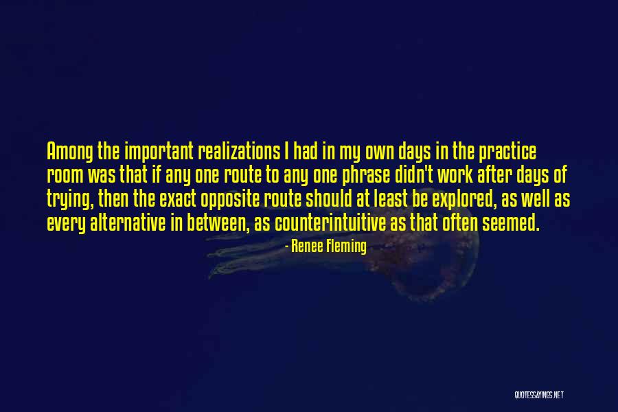 Realizations Quotes By Renee Fleming