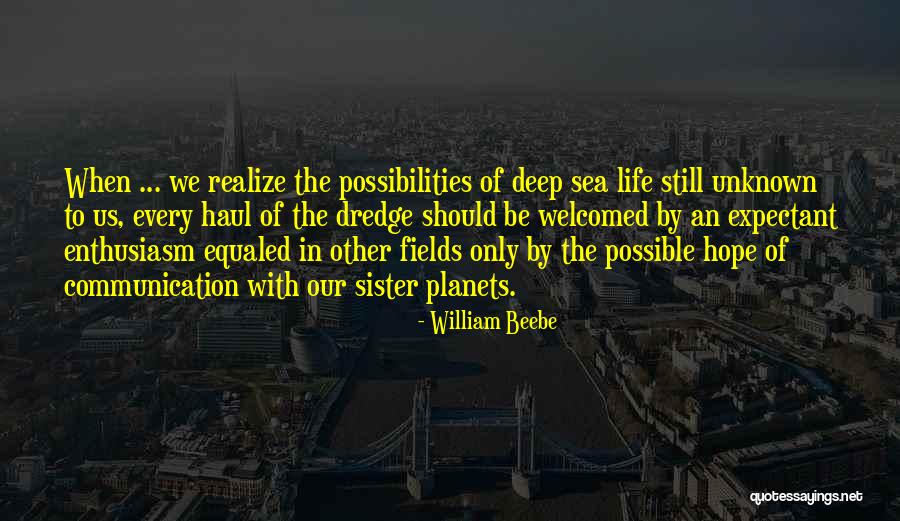 Realize Quotes By William Beebe