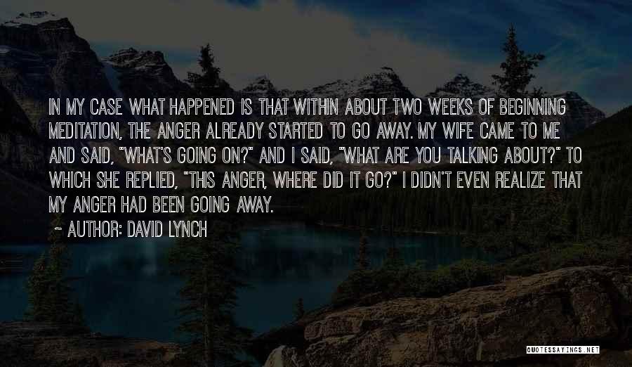 Realize What You Had Quotes By David Lynch