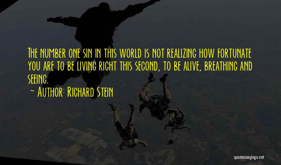 Realizing How Fortunate You Are Quotes By Richard Stein