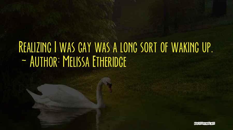 Realizing Quotes By Melissa Etheridge