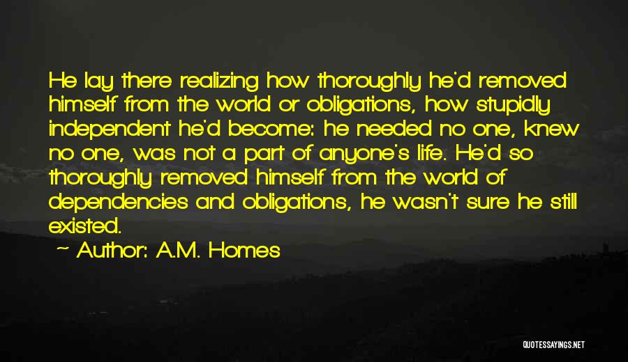 Realizing Something Is Over Quotes By A.M. Homes