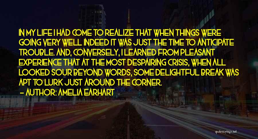 Realizing Things Quotes By Amelia Earhart