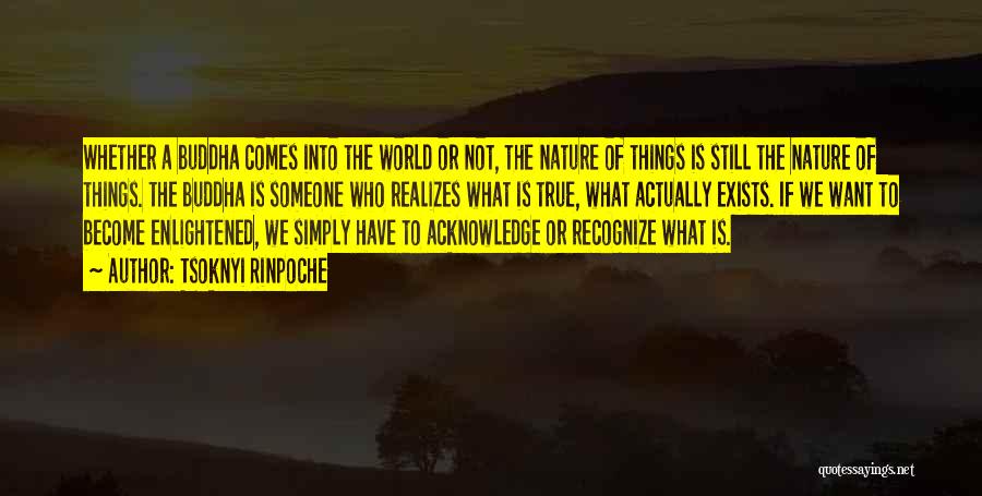 Realizing Things Quotes By Tsoknyi Rinpoche