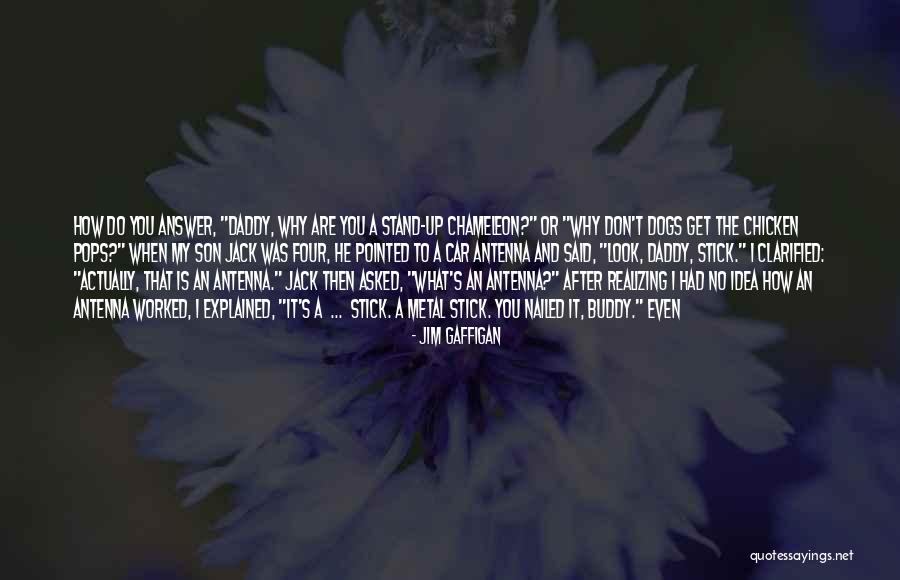 Realizing What You Want Quotes By Jim Gaffigan Realizing What You Want Quotes By Jim Gaffigan