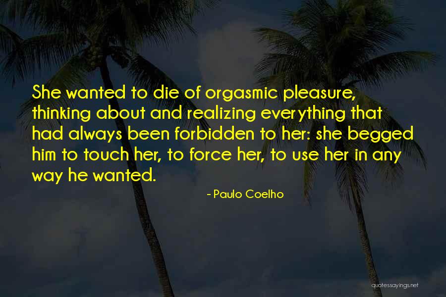 Realizing What You Want Quotes By Paulo Coelho Realizing What You Want Quotes By Paulo Coelho