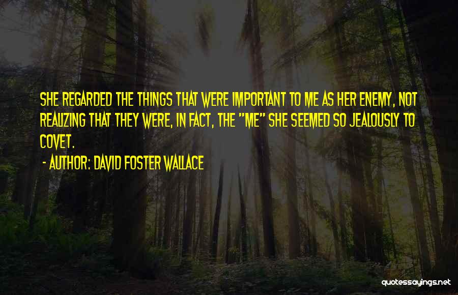 Realizing What's Important Quotes By David Foster Wallace