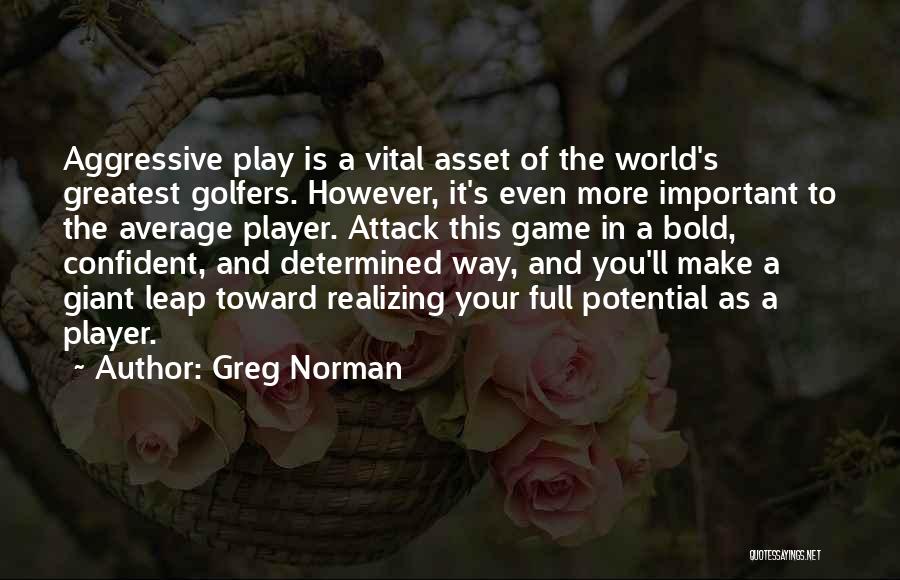 Realizing What's Important Quotes By Greg Norman