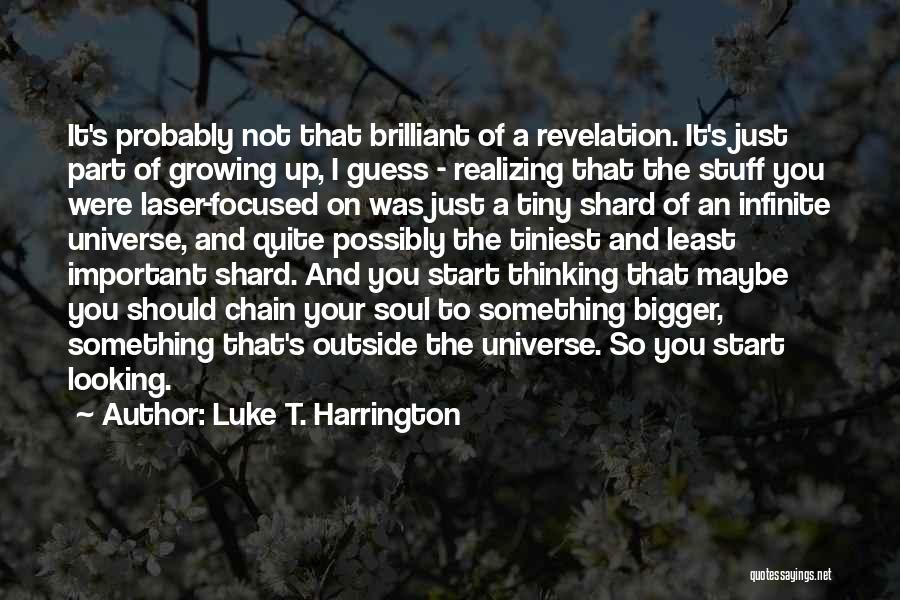Realizing What's Important Quotes By Luke T. Harrington